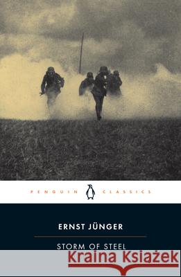 Storm of Steel Ernst Junger Michael Hofmann 9780142437902 Penguin Books - książka