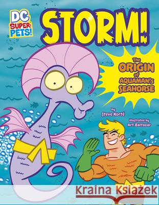 Storm!: The Origin of Aquaman's Seahorse Steve Korte Art Baltazar 9781666328868 Stone Arch Books - książka