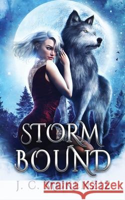 Stormbound J C McKenzie 9781990143052 J.C. McKenzie - książka