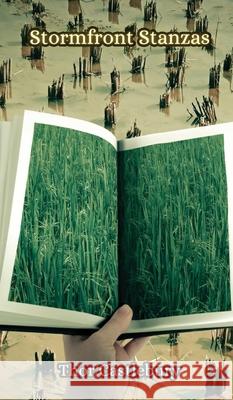 Stormfront Stanzas Thor Castleburry 9789916858783 Creative Arts Management Ou - książka