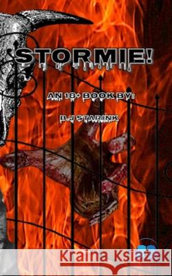 Stormie!: An 18+ book B J Starink 9788195309856 Aelin Publishers - książka