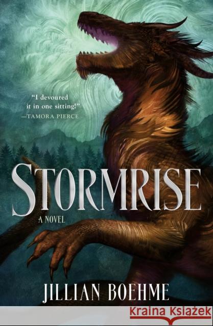 Stormrise Jillian Boehme 9781250298904 Tor Teen - książka