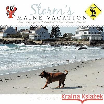 Storm's Maine Vacation J. W., Jr. Garry 9781456728748 Authorhouse - książka