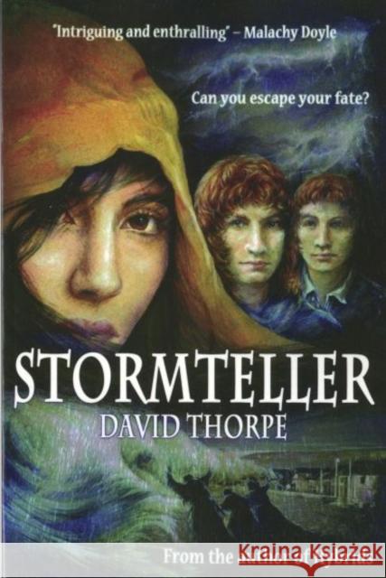 Stormteller David Thorpe 9780992869083 Cambria Books - książka