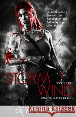 Stormwind Skye Knizley 9781506131429 Createspace - książka