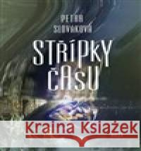 Střípky času Petra Slováková 9788075778123 Host - książka