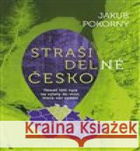 Strašidelné Česko Jakub Pokorný 9788027744756 Pangea - książka