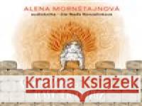 Strašidýlko Stráša hasí průšvihy Galina Miklínová 8594169487922 OneHotBook - książka