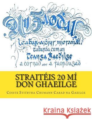 Straitéis 20 Mí don Ghaeilge Coiste Stiurtha Chumann Carad Na Gaeilg 9781496111166 Createspace - książka