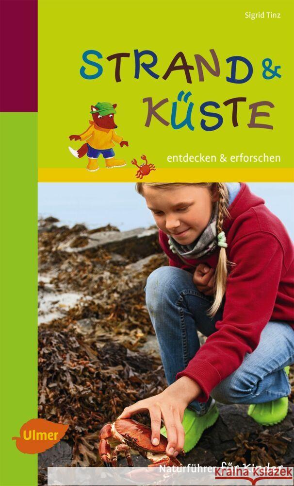 Strand und Küste : Entdecken und erforschen Tinz, Sigrid 9783800177578 Ulmer (Eugen) - książka