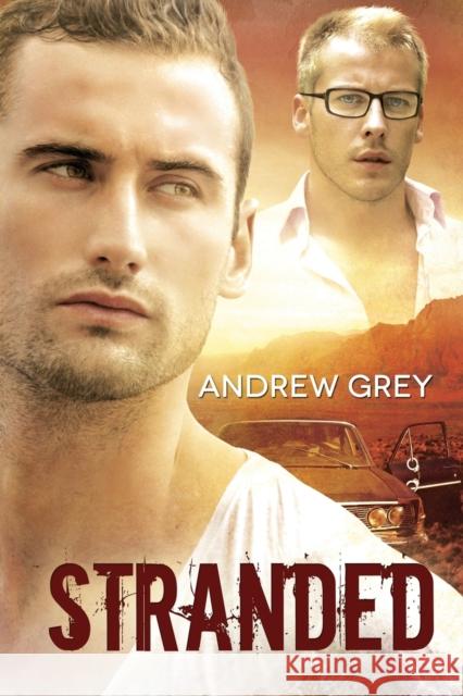 Stranded Andrew Grey   9781623806583 Dreamspinner Press - książka