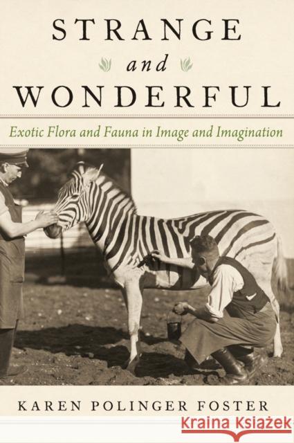 Strange and Wonderful: Exotic Flora and Fauna in Image and Imagination Karen Polinger Foster 9780190672539 Oxford University Press, USA - książka