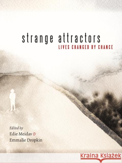 Strange Attractors: Lives Changed by Chance Edie Meidav Emmalie Dropkin 9781625344243 University of Massachusetts Press - książka