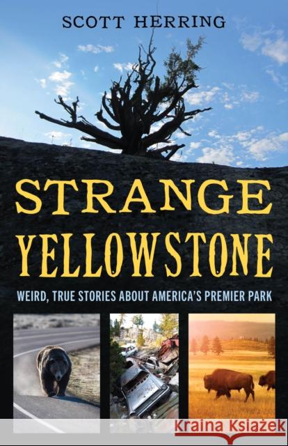 Strange Yellowstone: Weird, True Stories about America's Premier Park Scott Herring 9781606391419 Riverbend Publishing - książka