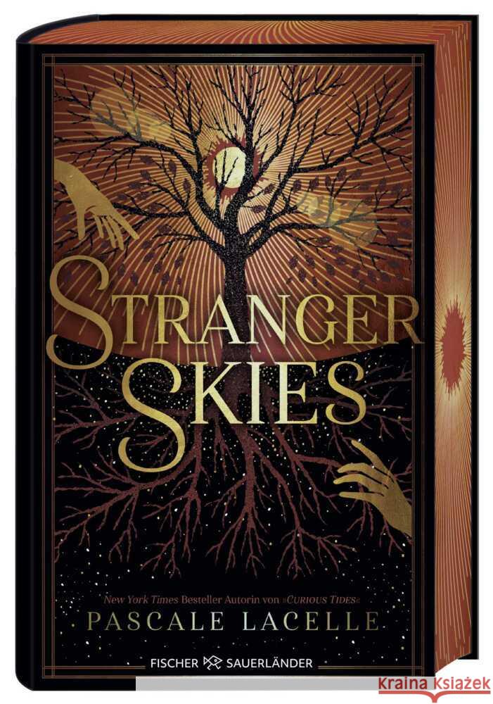 Stranger Skies Lacelle, Pascale 9783737343749 FISCHER Sauerländer - książka
