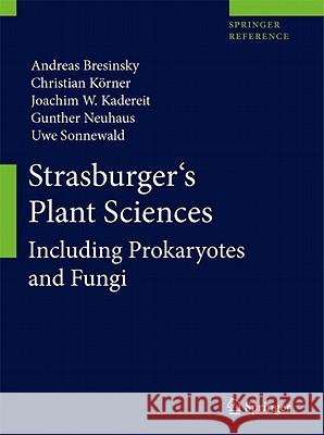 Strasburger's Plant Sciences: Including Prokaryotes and Fungi Bresinsky, Andreas 9783642155178 Springer, Berlin - książka