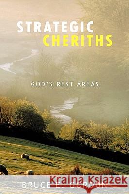 Strategic Cheriths: God's Rest Areas Gordon, Bruce E. 9781434374462 Authorhouse - książka