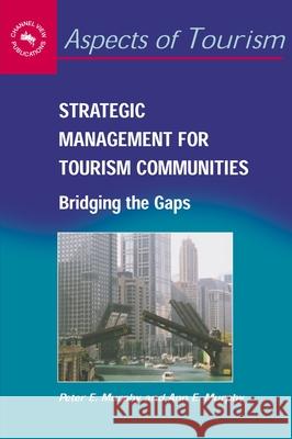 Strategic Management Tourism Communitihb: Bridging the Gaps P. Murphy Ann E. Murphy  9781873150849 Channel View Publications - książka