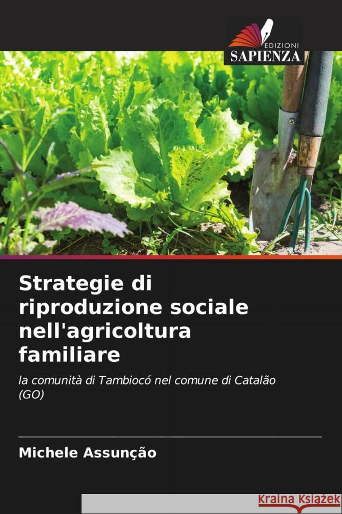 Strategie di riproduzione sociale nell'agricoltura familiare Assunção, Michele 9786208219406 Edizioni Sapienza - książka