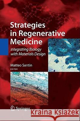 Strategies in Regenerative Medicine: Integrating Biology with Materials Design Santin, Matteo 9780387746593 Springer - książka