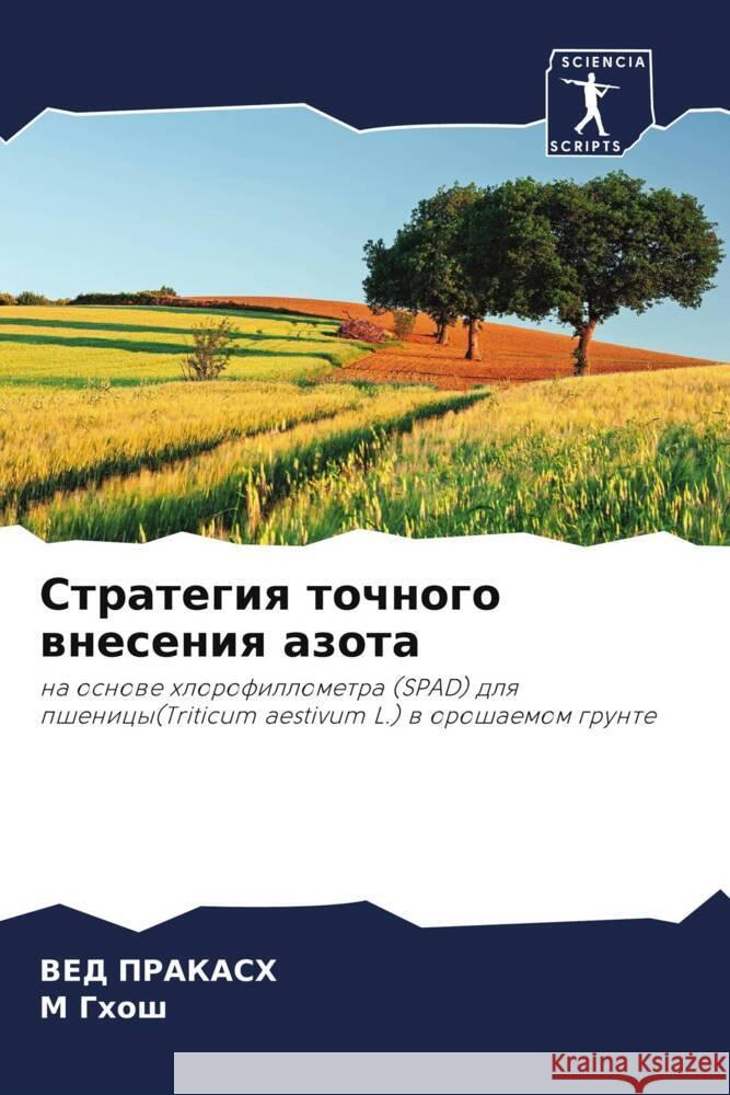 Strategiq tochnogo wneseniq azota Prakash, Ved, Ghosh, M 9786207971657 Sciencia Scripts - książka