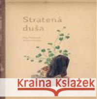 Stratená duša Joanna Concejo 9788081503115 Artforum - książka