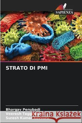 Strato Di PMI Bhargav Penubadi Veeresh Tegginmani Suresh Kumar Kovvuru 9786205300060 Edizioni Sapienza - książka