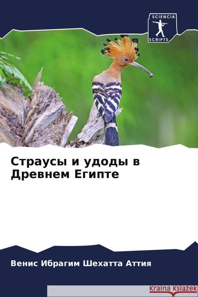 Strausy i udody w Drewnem Egipte Shehatta Attiq, Venis Ibragim 9786202755962 Sciencia Scripts - książka