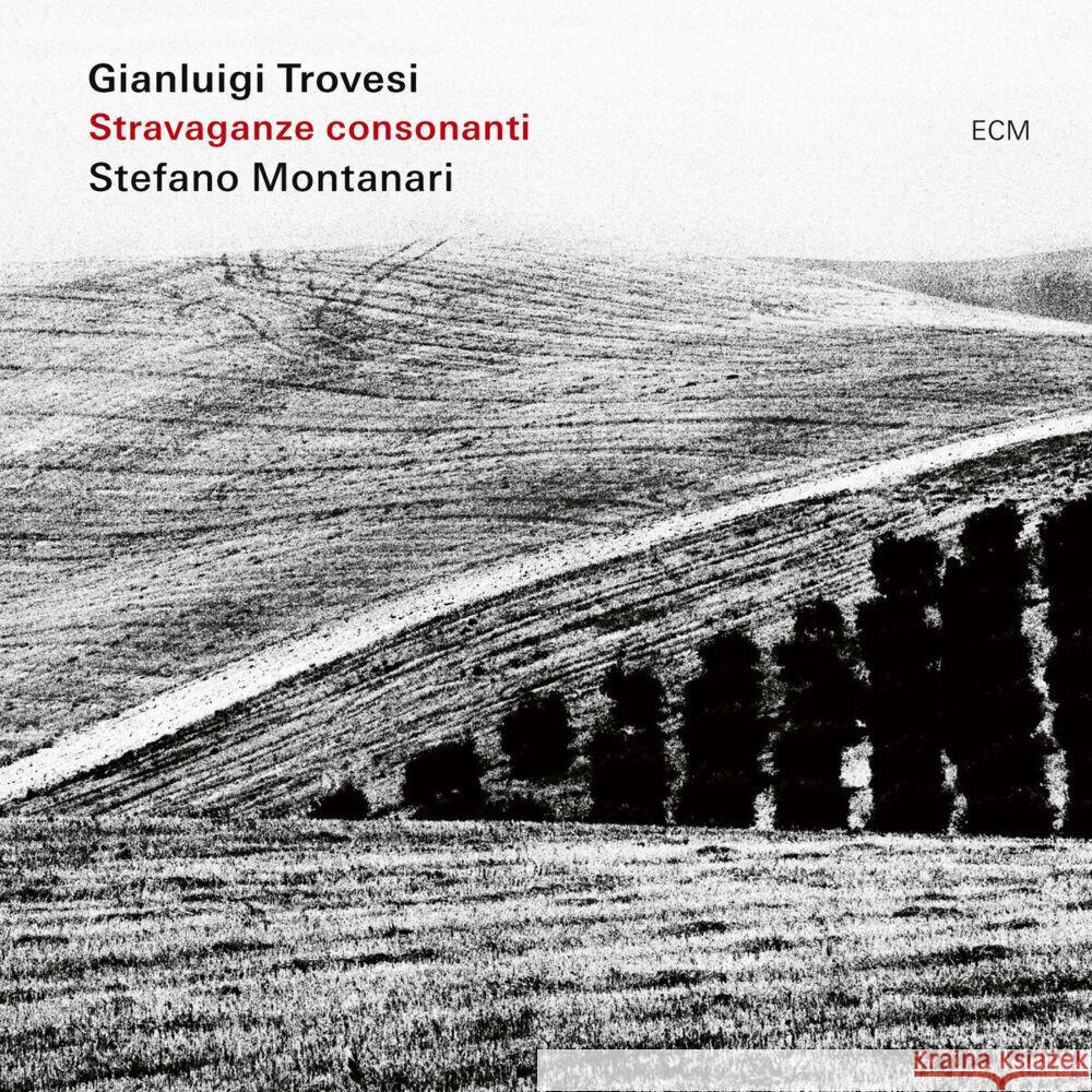 Stravaganze Consonanti, 1 Audio-CD Trovesi,Gianluigi, Montanari,Stefano 0602448286000 ECM Records - książka