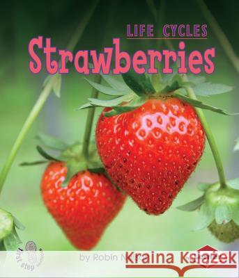 Strawberries Robin Nelson 9780761341192 Lerner Classroom - książka