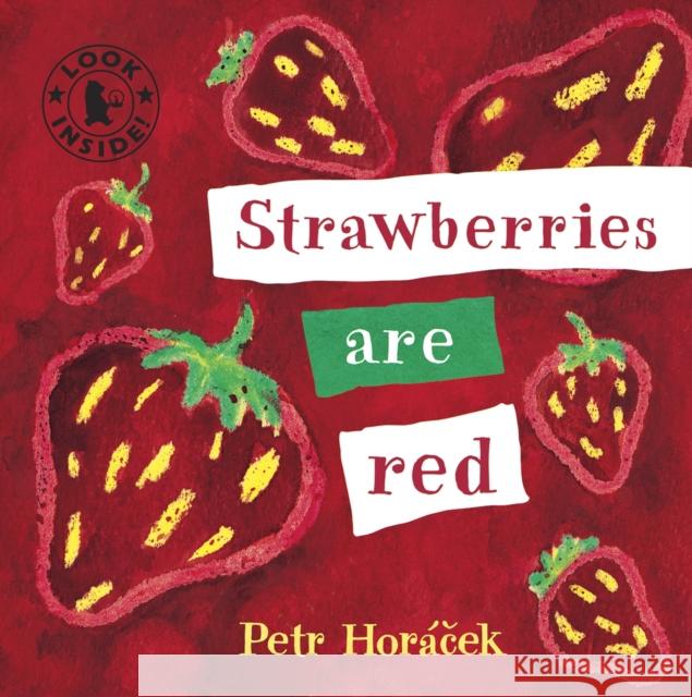 Strawberries Are Red Petr Horacek 9781406325102 WALKER CHILDRENS HARDBACKS - książka