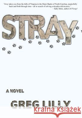 Stray Greg Lilly 9781937556105 Cherokee McGhee - książka