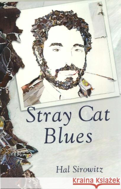 Stray Cat Blues Hal Sirowitz 9781935218296 Backwaters Press - książka