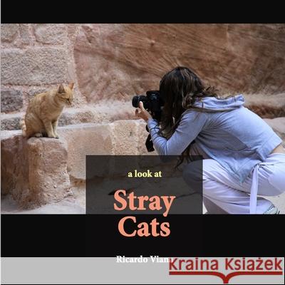 Stray cats: a look at Ricardo Viana 9781688420717 Independently Published - książka