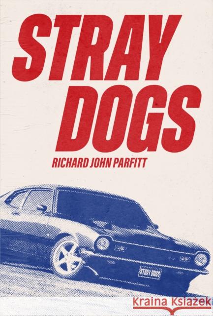 STRAY DOGS Richard John Parfitt 9798986614519 Third Man Books - książka