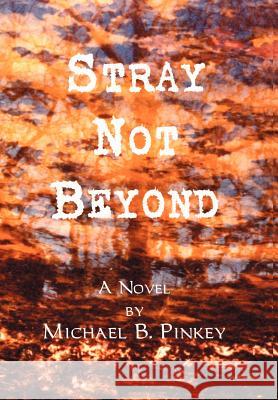 Stray Not Beyond Michael B. Pinkey 9780595655014 Writers Club Press - książka