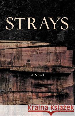 Strays Matthew Geyer 9781469746609 iUniverse.com - książka