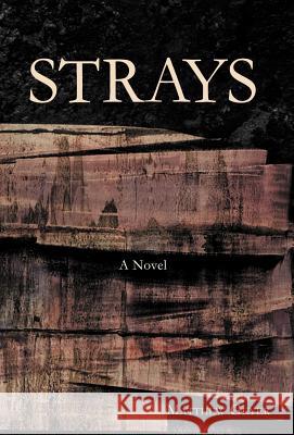 Strays Matthew Geyer 9781469746623 iUniverse.com - książka