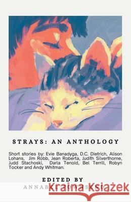 Strays, an Anthology Annabel Townsend Robyn Tocker Alison Lohans 9781997713098 Anthologies by Pete - książka