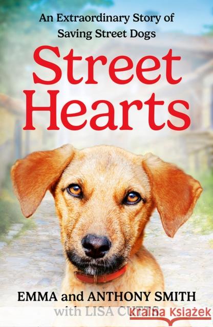 Street Hearts: An Extraordinary Story of Saving Street Dogs Anthony Smith 9780008701970 HarperCollins Publishers - książka