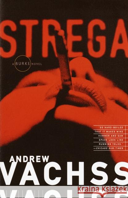 Strega Andrew H. Vachss 9780679764090 Vintage Books USA - książka