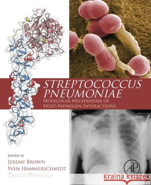 Streptococcus Pneumoniae: Molecular Mechanisms of Host-Pathogen Interactions Brown, Jeremy Hammerschmidt, Sven Orihuela, Carlos 9780124105300 Elsevier Science - książka