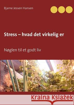Stress - hvad det virkelig er: Nøglen til et godt liv Hansen, Bjarne Jessen 9788771704822 Books on Demand - książka