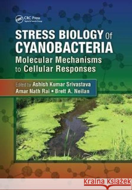 Stress Biology of Cyanobacteria: Molecular Mechanisms to Cellular Responses Ashish Kumar Srivastava Amar Nath Rai Brett A. Neilan 9781138198746 CRC Press - książka