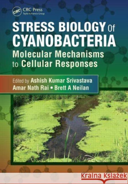 Stress Biology of Cyanobacteria: Molecular Mechanisms to Cellular Responses Srivastava, Ashish Kumar 9781466504783 CRC Press - książka