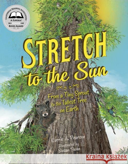 Stretch to the Sun: From a Tiny Sprout to the Tallest Tree on Earth Carrie Pearson Susan Swan 9781580897716 Charlesbridge Publishing - książka