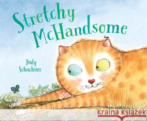 Stretchy McHandsome Judy Schachner 9780803741218 Dial Books - książka