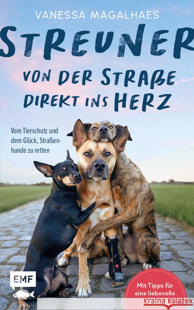 Streuner - von der Straße direkt ins Herz Magalhaes, Vanessa 9783745929904 Edition Michael Fischer - książka