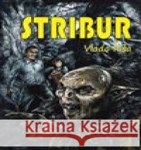 Stribur Vlado Ríša 9788090682979 Časopis XB-1 - książka