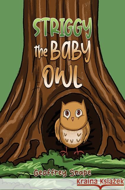 Striggy the Baby Owl Geoffrey Snape 9781035829224 Austin Macauley Publishers - książka